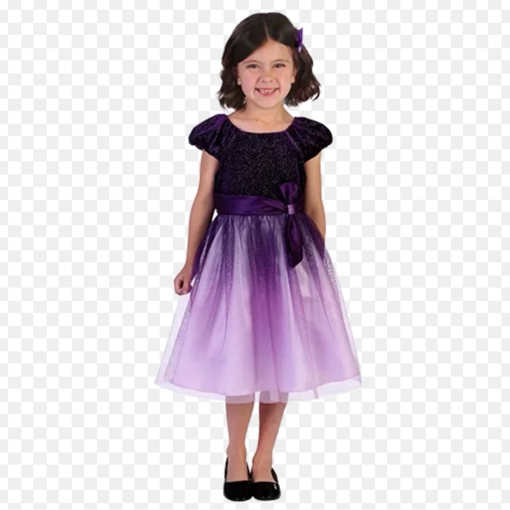 Jona Michelle Purple Gilrs Dress Size 4T